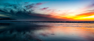 IMG 20231113 170322673