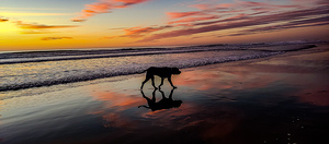 IMG 20231117 165154783