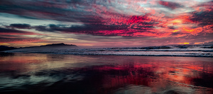 IMG 20231231 165235647