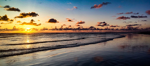 IMG 20240529 204201537 HDR