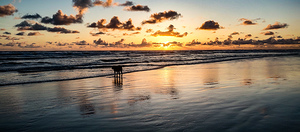 IMG 20240529 204236622 HDR