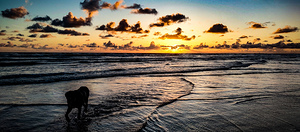 IMG 20240529 204250922 HDR