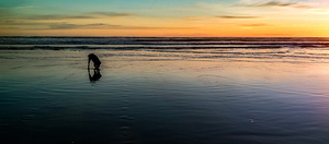 IMG 20240608 205617436 HDR