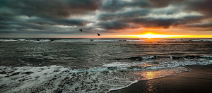 IMG 20240802 203302761