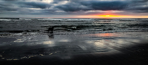 IMG 20240802 203841750 HDR