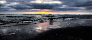 IMG 20240802 203854942 HDR