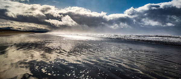 IMG 20250203 130453082 HDR Print