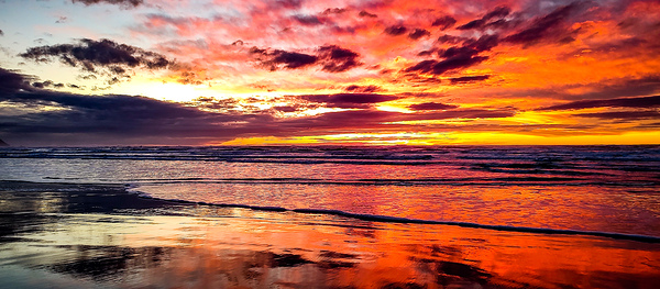 IMG 20230110 170527019 MP Print