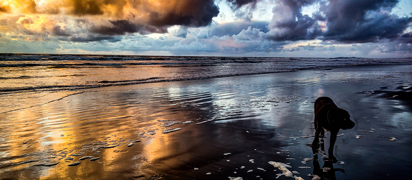 IMG 20230313 190940990 HDR Print