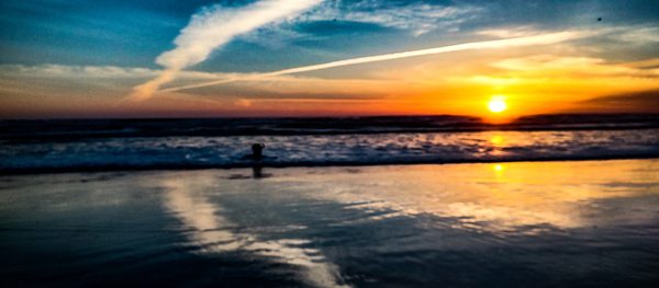 IMG 20230512 203116571 HDR Print