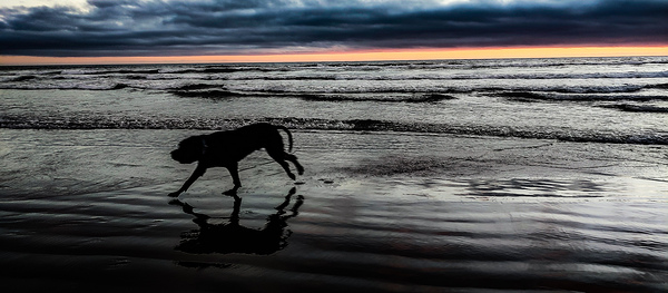 IMG 20230701 210812220 Print