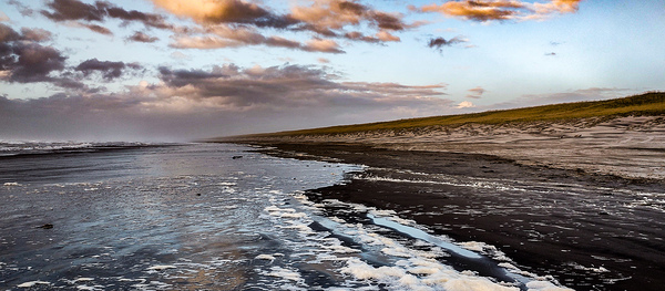 IMG 20231104 170759218 Print