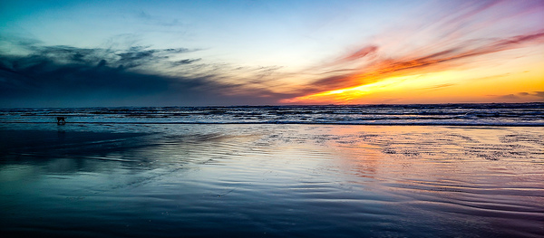 IMG 20231113 165418812 Print