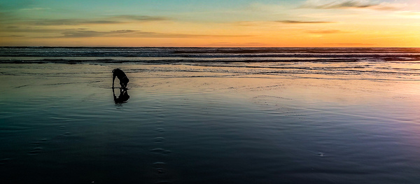 IMG 20240608 205617436 HDR Print