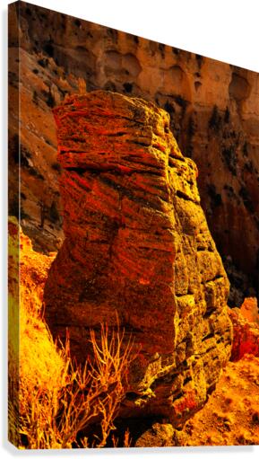 Vertical Canyon Canvas Print