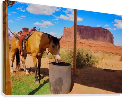 Monument Valley Canvas Print