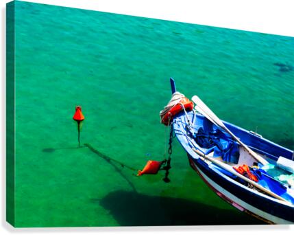 Baot Canvas Print