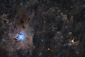 Iris & Ghost Nebulae - NGC 7023 - vdB 141