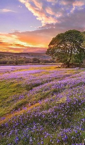 23DF4CDB 98BF 4166 BD91 C59325216B5B