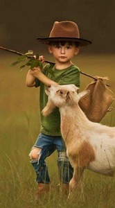 3904C4EF B81B 48F2 B720 14EA03CC484A