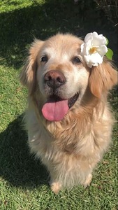 50A889D5 76B9 48C2 A97C 80000B1991B7