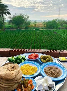 60B8AFCF BD05 4B53 BA55 E4C150079E9E