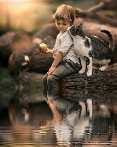 BF714001 EFC7 443F 8EE2 5EB895208BBF