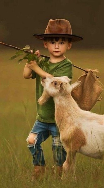 3904C4EF B81B 48F2 B720 14EA03CC484A Print