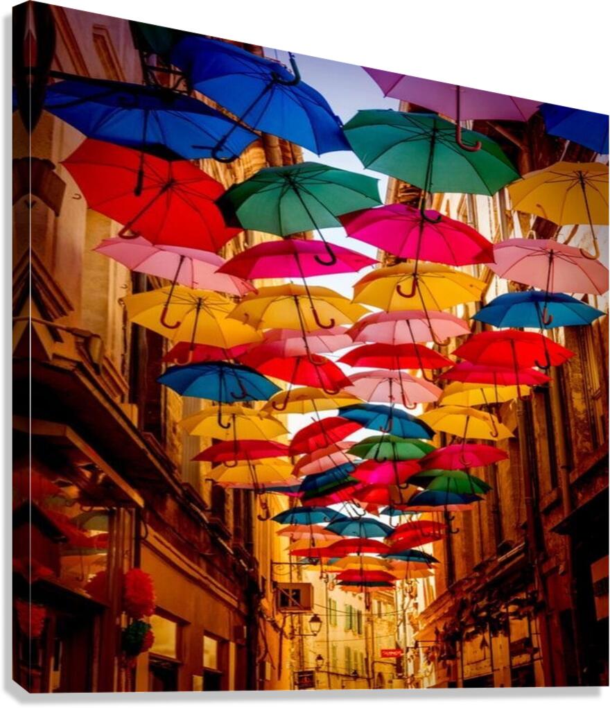 1001717093802 Canvas Print