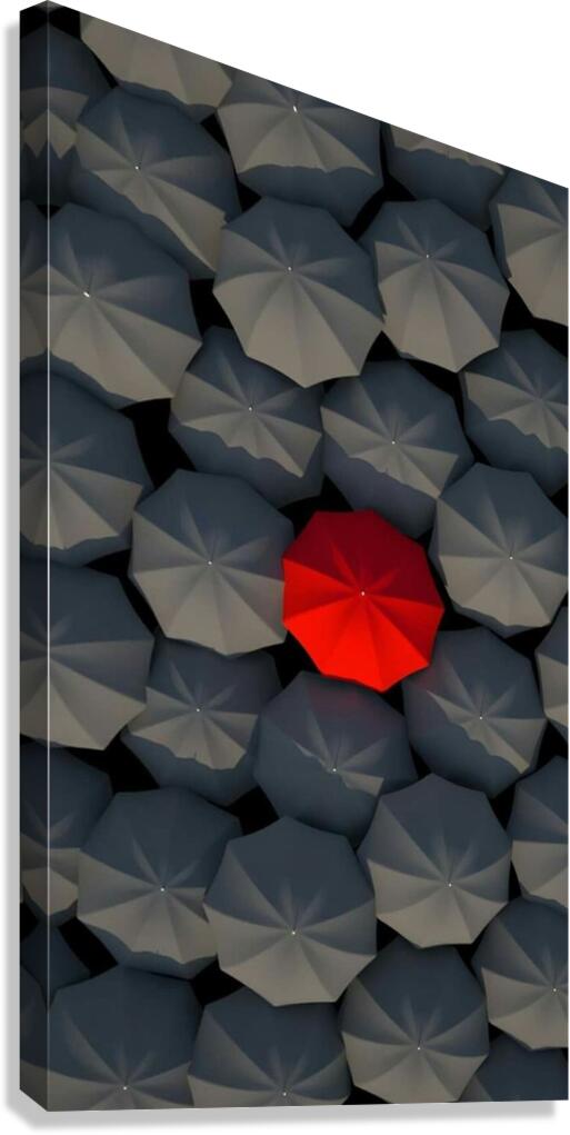 D9C1A2E5 C389 44DF AC00 1A3E89BB7518 Canvas Print