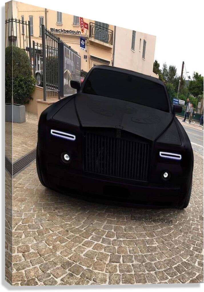 F73D0A2F 073E 4B17 90FD DE69F0880AAC Canvas Print