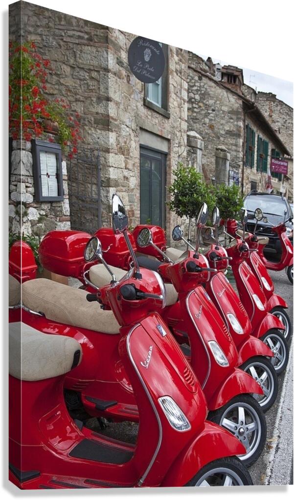 B356D0A8 4FB1 4EF4 AA2E F477C5A218B6 Canvas Print