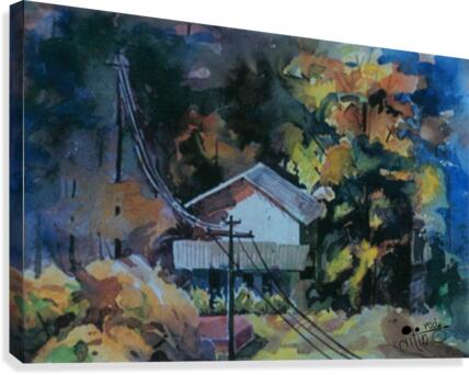 Home alone Canvas Print