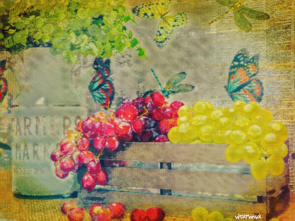 Grapes and Butterflies by With Love by Marisol