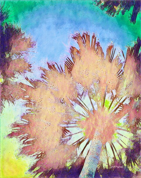 Ola Nani by With Love by Marisol