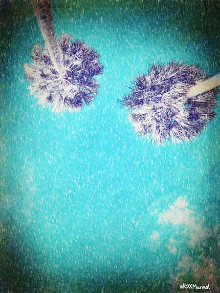 Daydream by With Love by Marisol