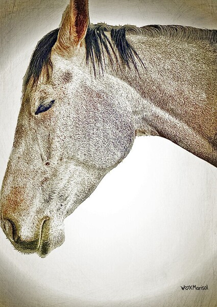 Butterscotch Moonpie by With Love by Marisol