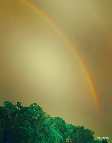 Arco Iris by With Love by Marisol