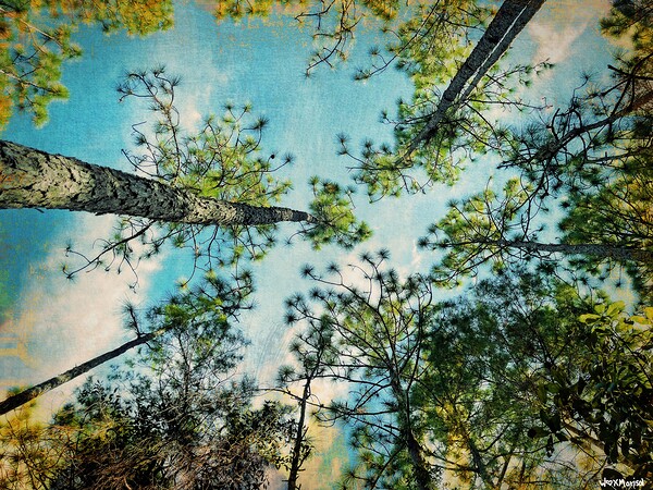 Up by With Love by Marisol