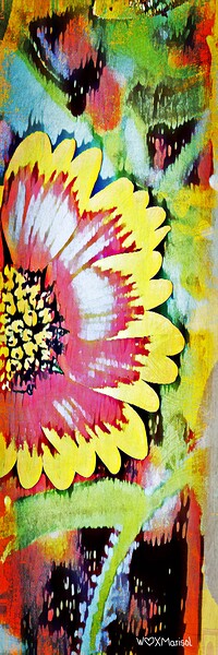 Laila by With Love by Marisol