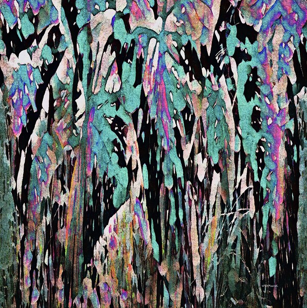 Cleanse by With Love by Marisol