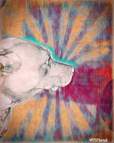 MVP by With Love by Marisol