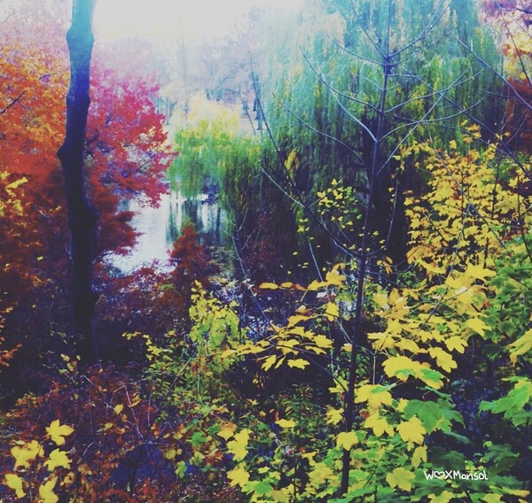 Rainbow Garden by With Love by Marisol