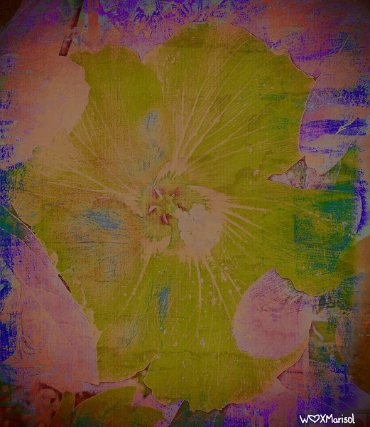 Pina Colada by With Love by Marisol