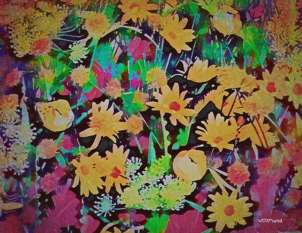 Kaleido by With Love by Marisol