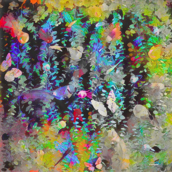 Soft Wild by With Love by Marisol