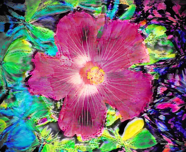 Amapola by With Love by Marisol