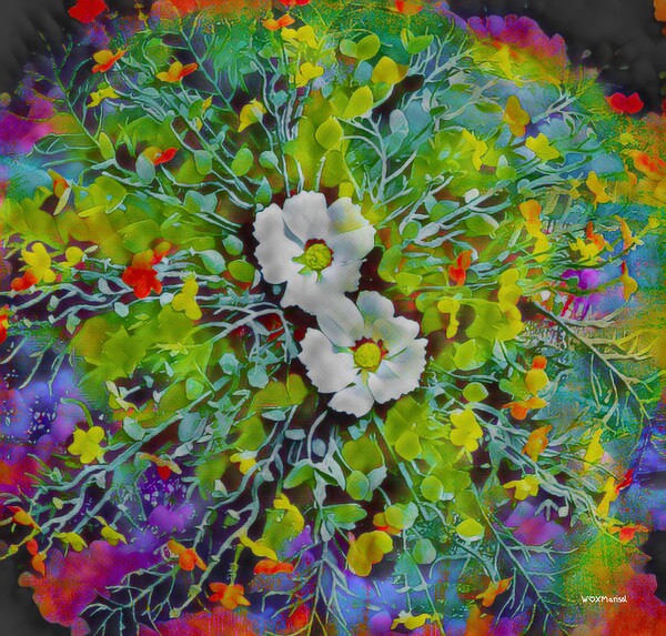 cosmic burst by With Love by Marisol