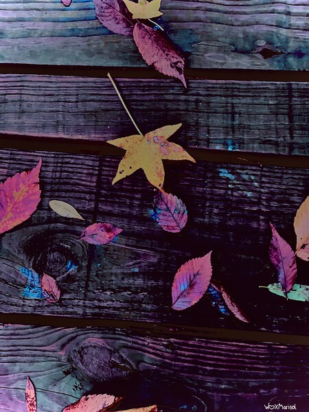 Rosy Fall by With Love by Marisol