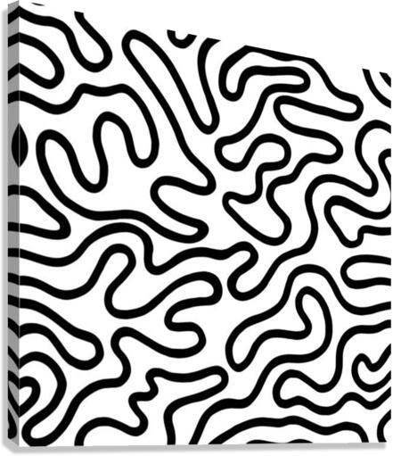 patern Vector Canvas Print